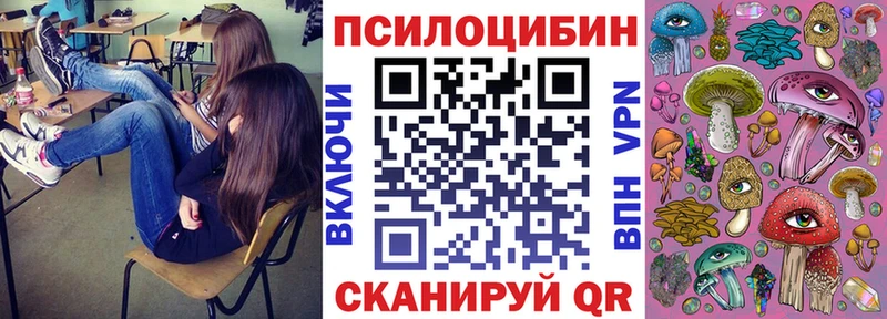 Галлюциногенные грибы Psilocybine cubensis  Заозёрск 